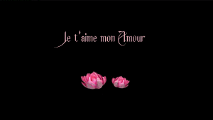 Gif animé je t'aime coeur
